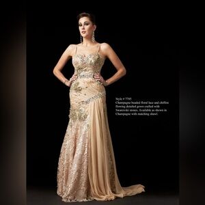 A sheer graceful gown from our Unique collection